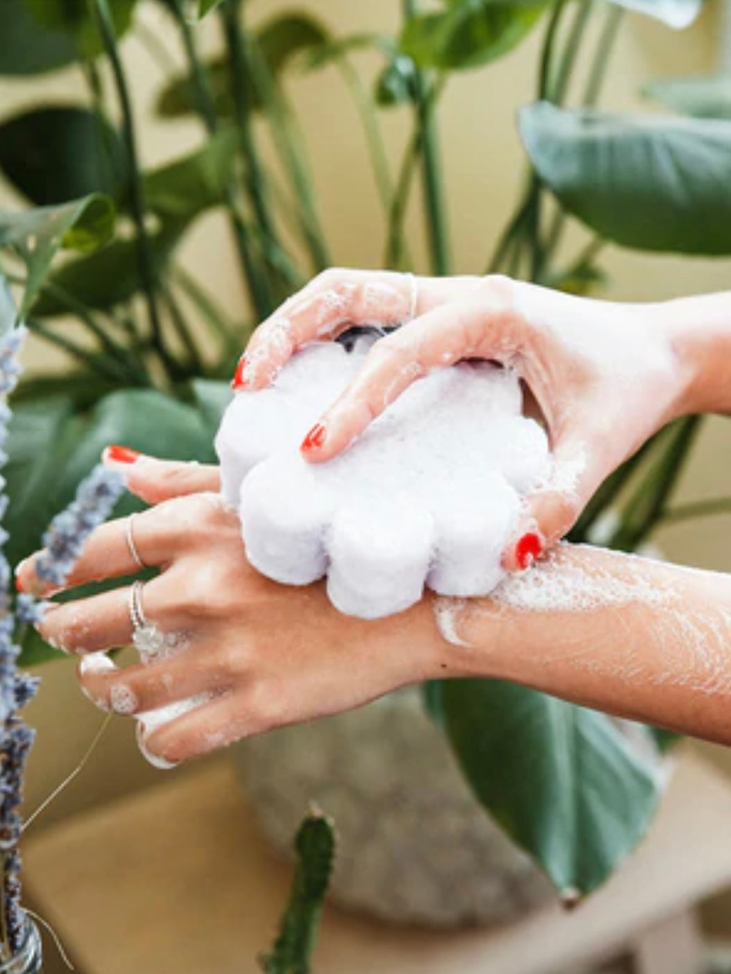 Wild Flower Soap Sponge | French Lavender
