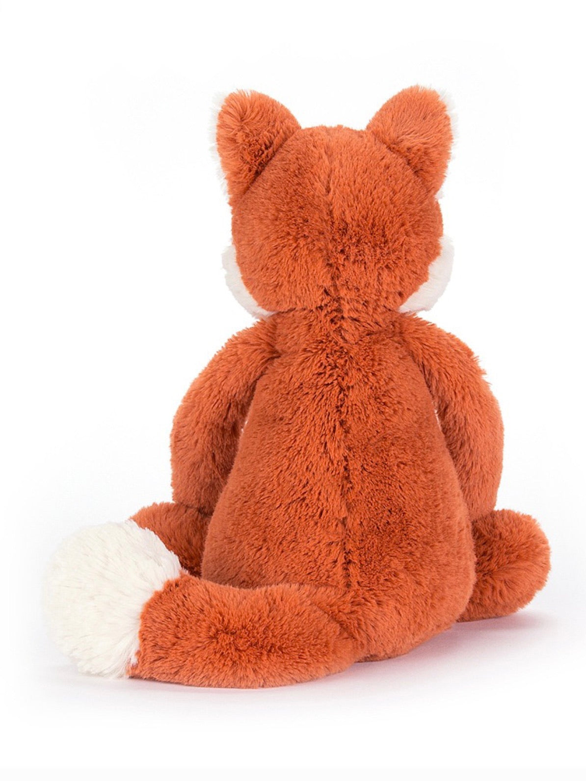 Bashful Fox Cub