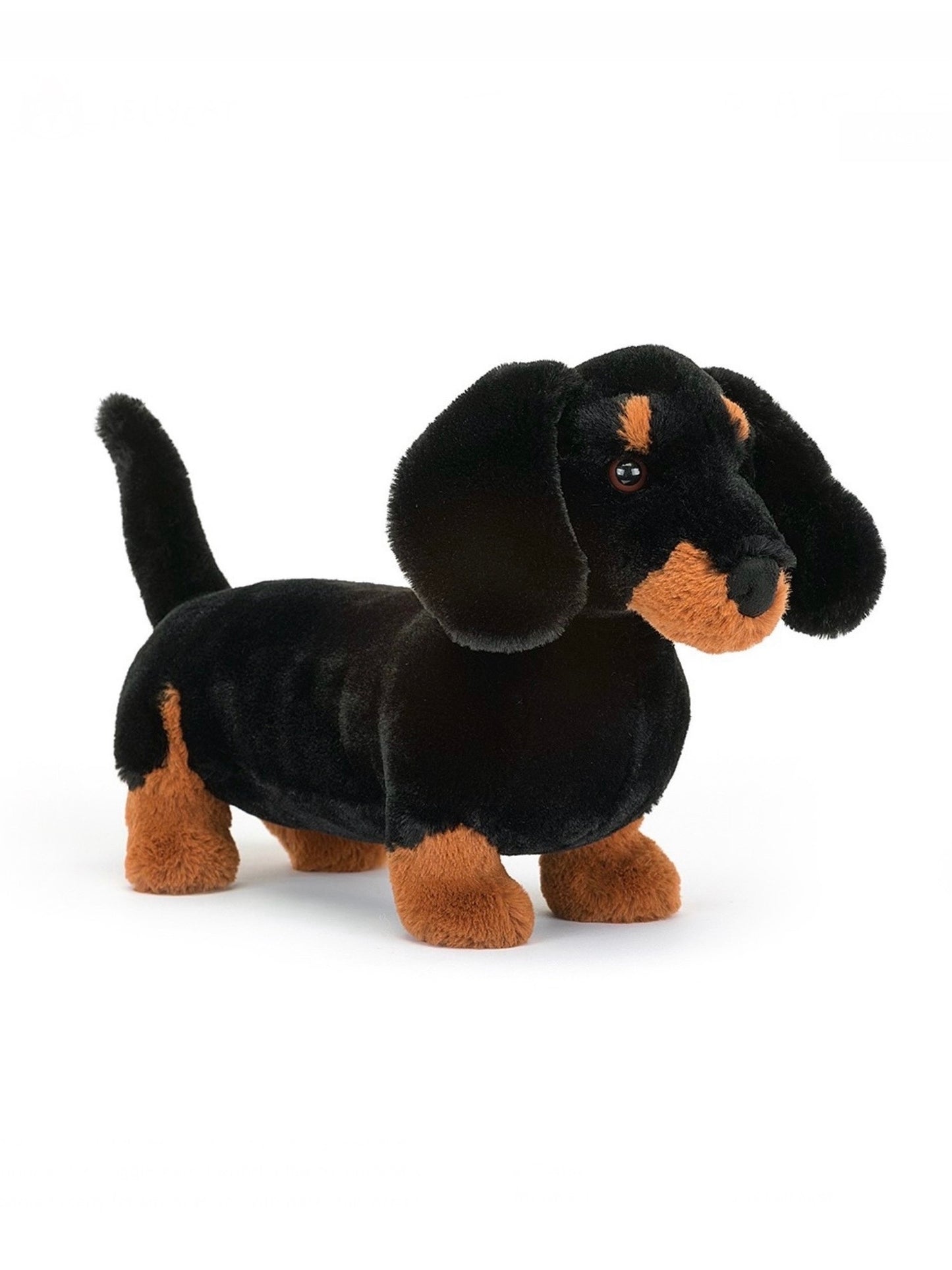 Freddie Sausage Dog