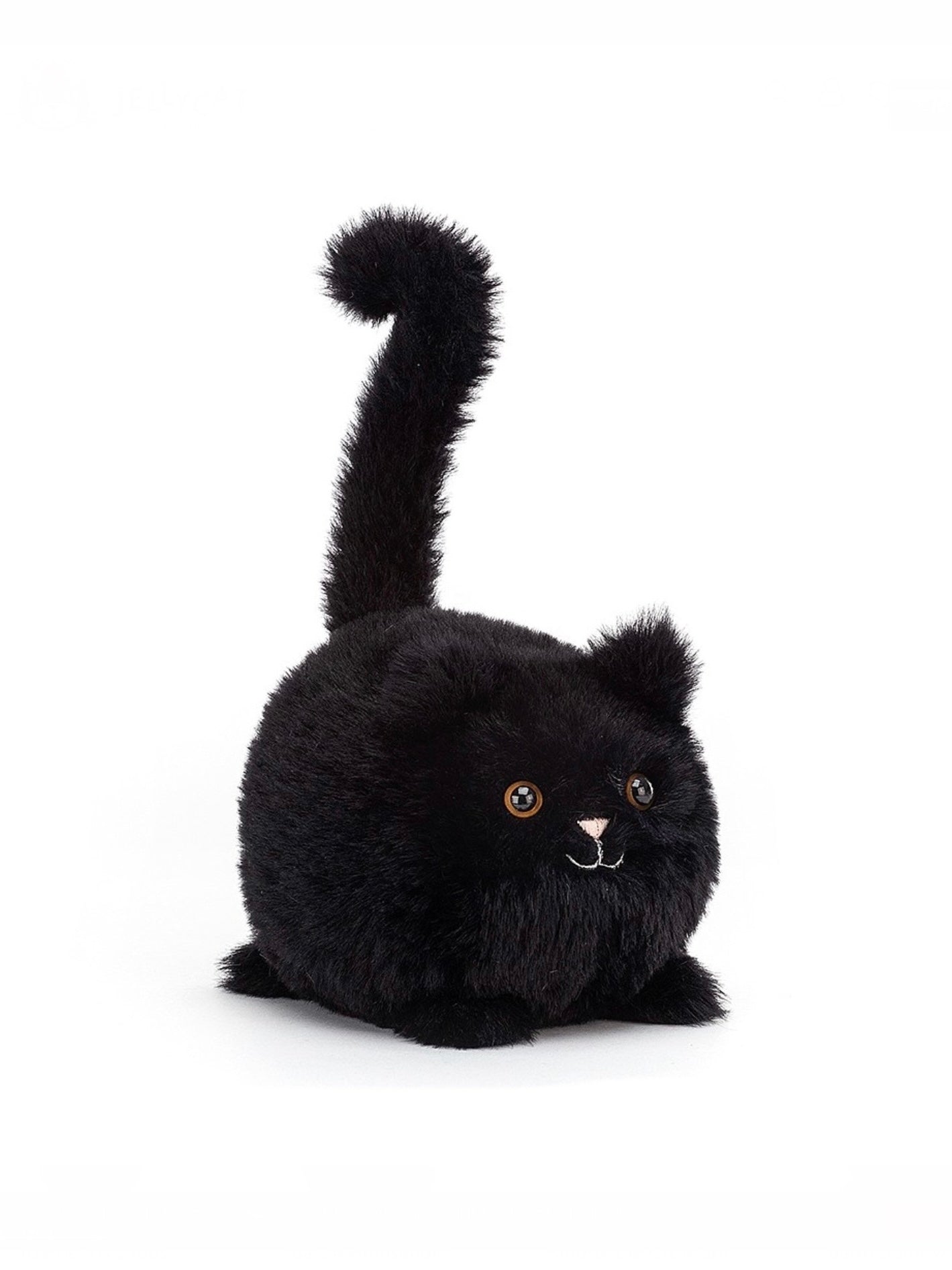 Kitten Caboodle Black