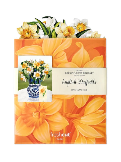 English Daffodils