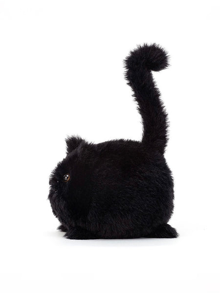 Kitten Caboodle Black