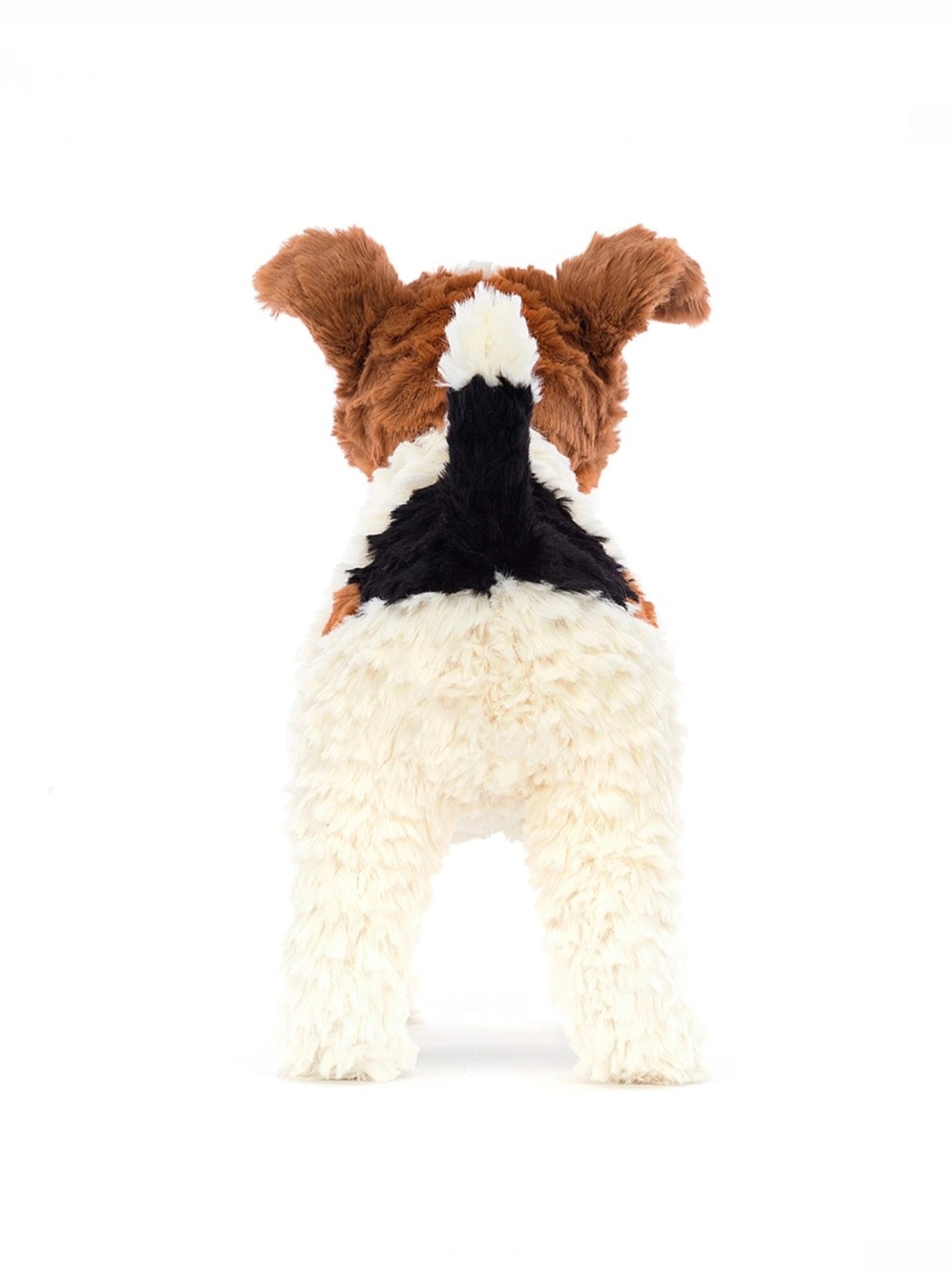 Hector Fox Terrier