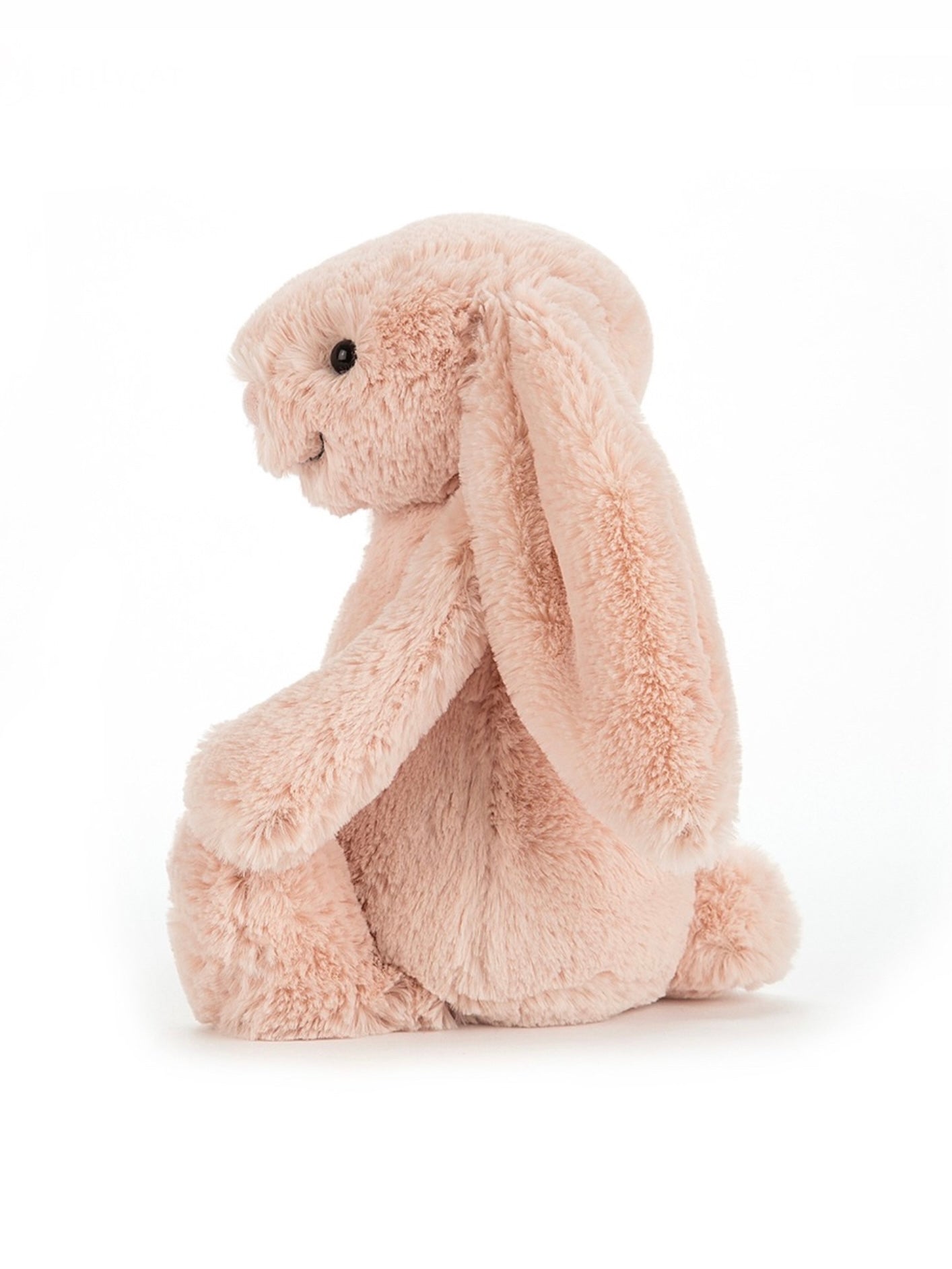 Bashful Blush Bunny