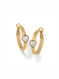 Mystery Of Love Heart Hoop Earrings - Gold