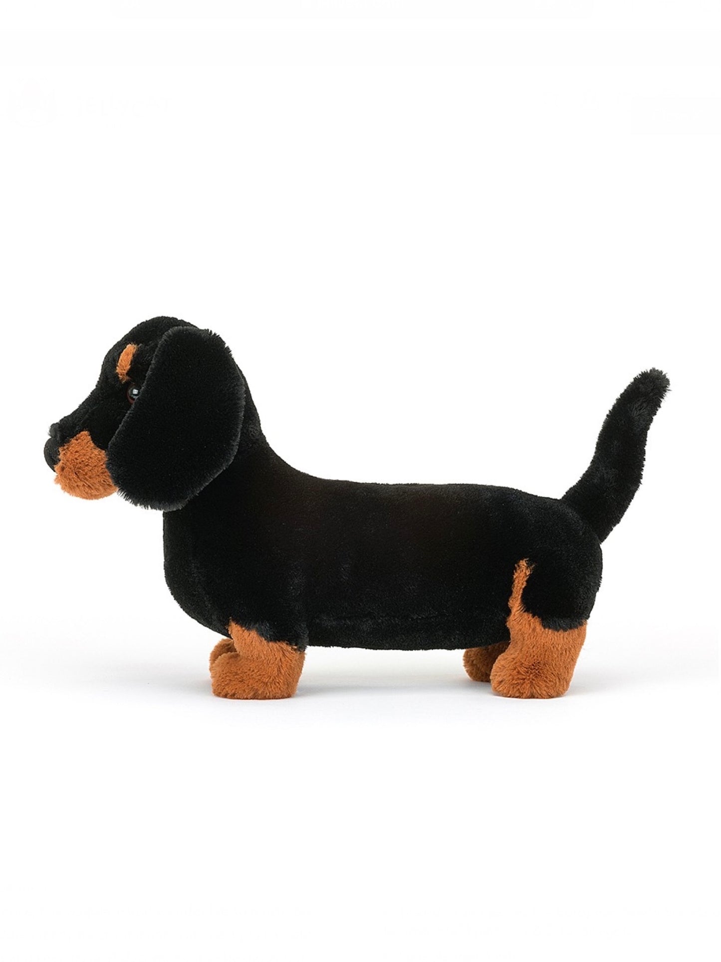 Freddie Sausage Dog