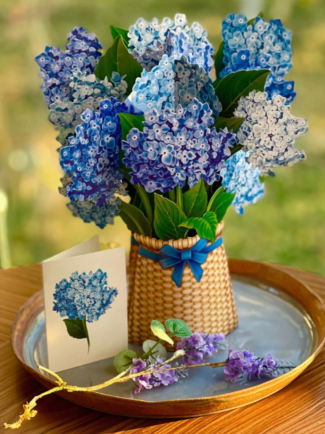 Nantucket Hydrangea