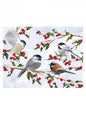 Birds & Holly Boxed Cards