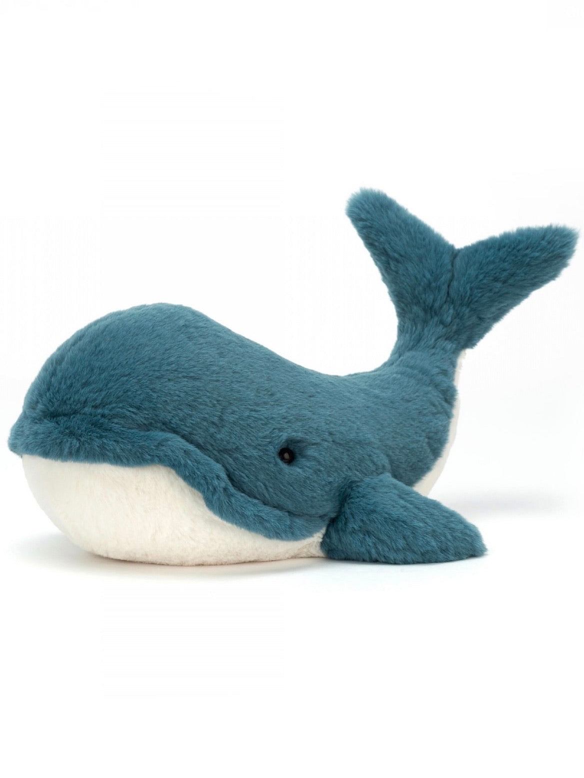 Wally Whale