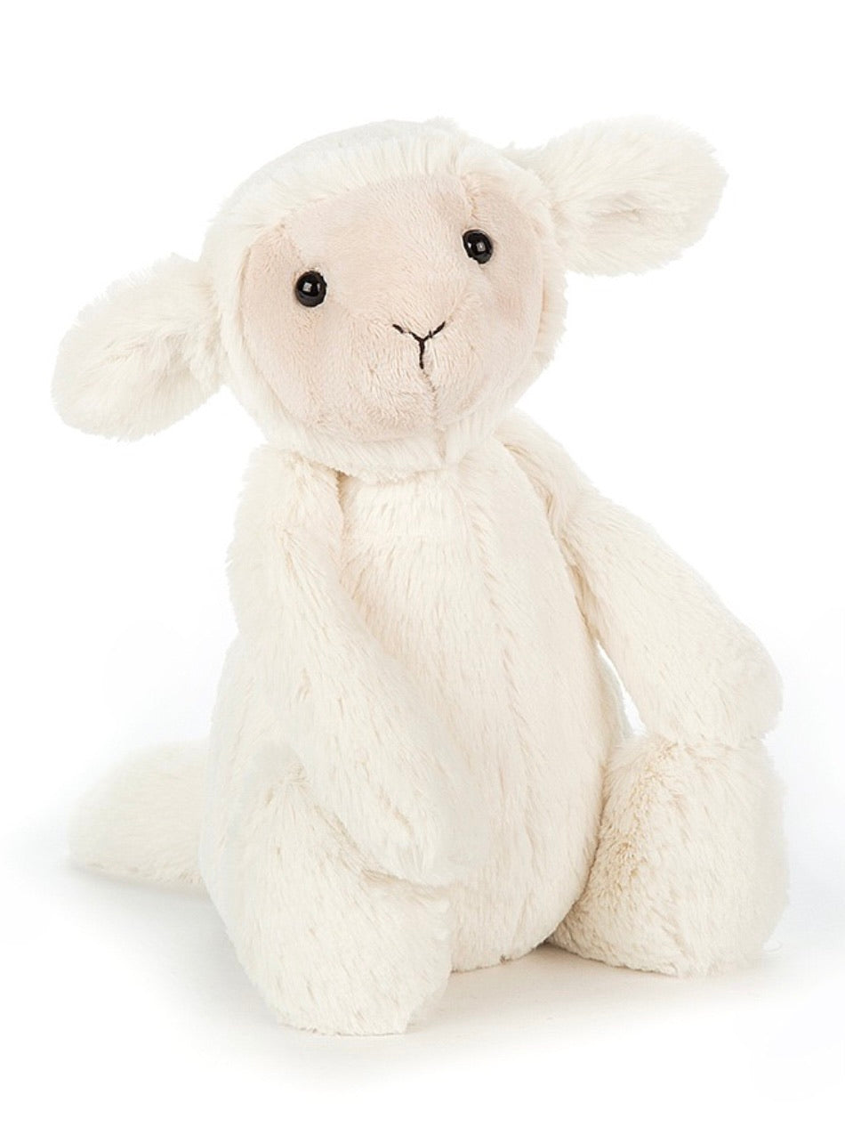 Bashful Lamb